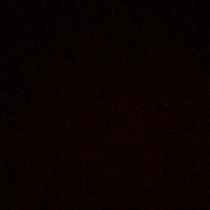 Meet your Posher, Noel